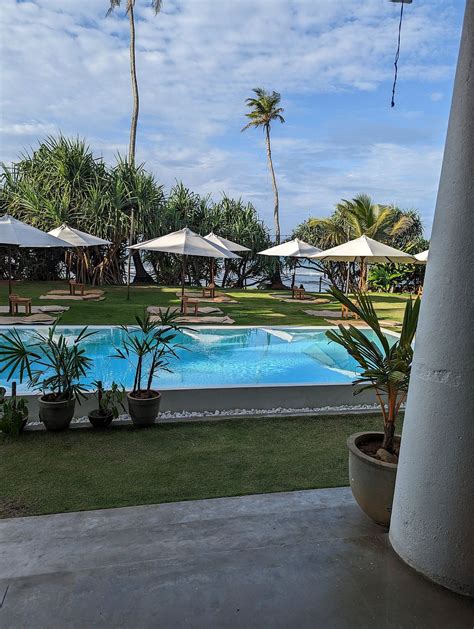 dreamsea sri lanka|Dream Sea Surf Camp .